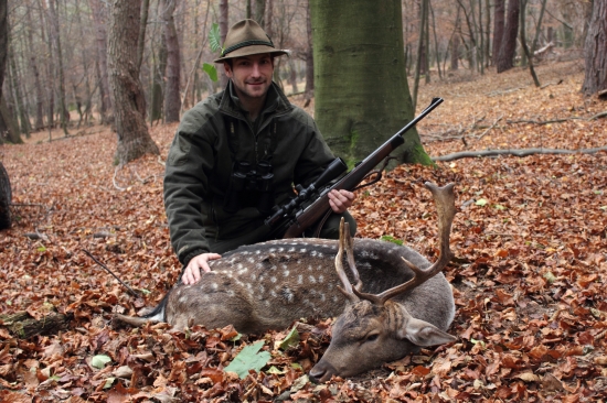 Ked sv.Diana dopraje