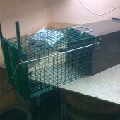 Už dobre vyskúšaná.