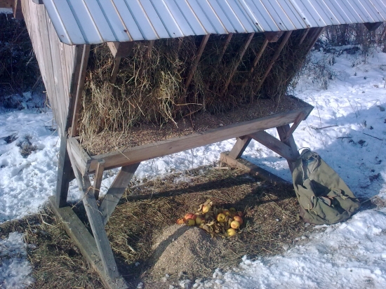 Sobotné prikrmovanie.