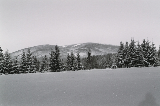 Pilsko