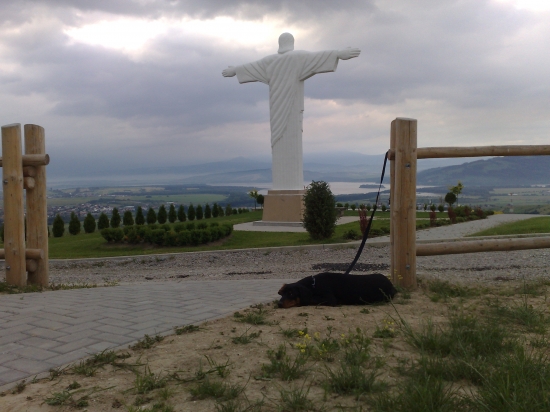 Môj Fedor pod ochranou.