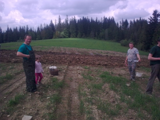 Minuloročné sadenie topinamburu.