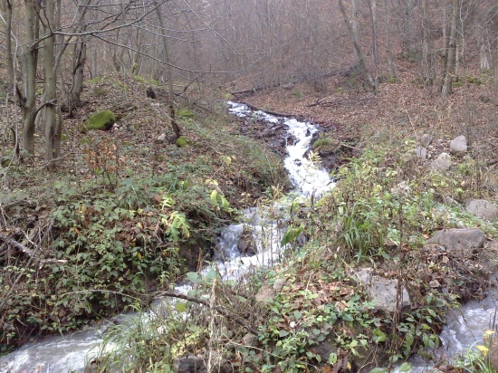 potocik