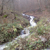 potocik