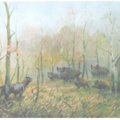 slovensky kopov
