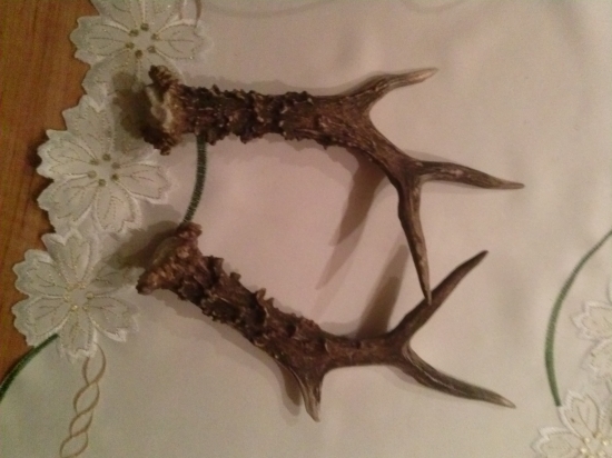 môj štefansky ulovok