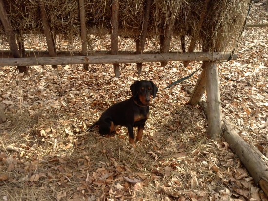 s icou sme boli skontrolovat soliska