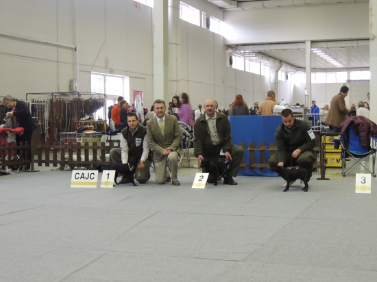 Alisa z Kalneho potoka