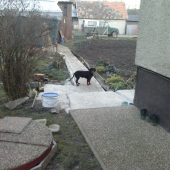 Diana spod Hradeckej luky