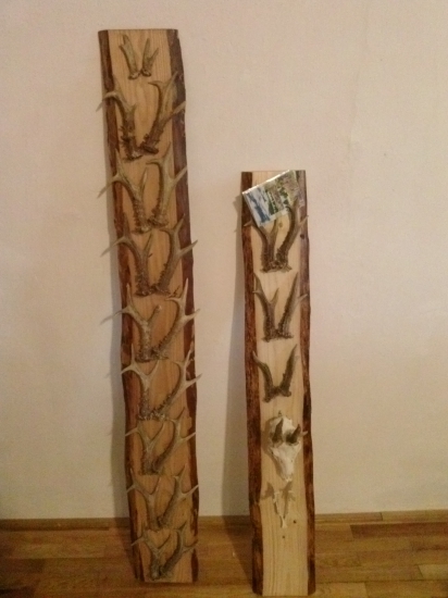 život jedneho srnca