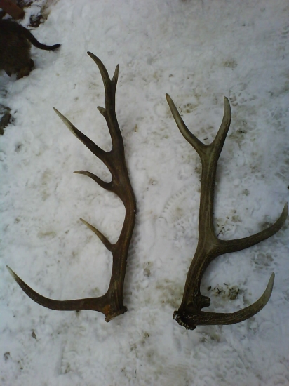 tobol zas dobrý den hhhh.