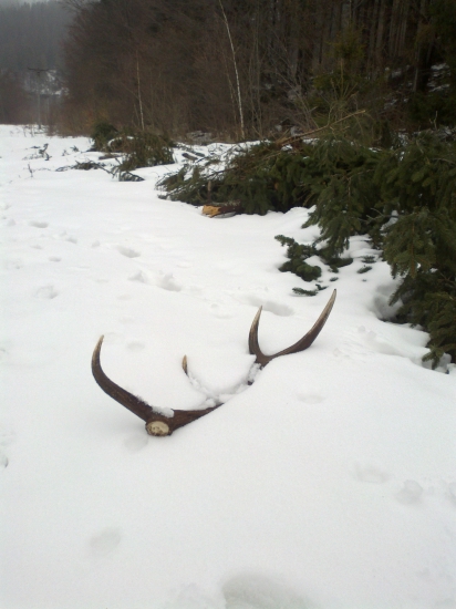 1O-torak, 2,56 kg, 105cm