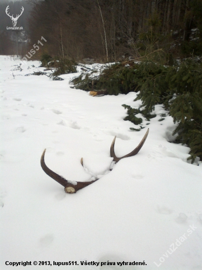 1O-torak, 2,56 kg, 105cm