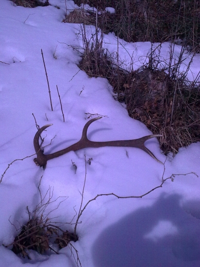 konecne cerstvy,jar 2010