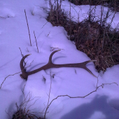 konecne cerstvy,jar 2010