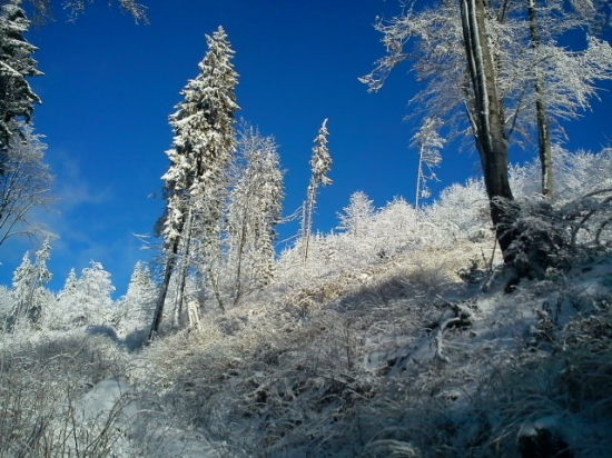 pod Olochovou jamou......