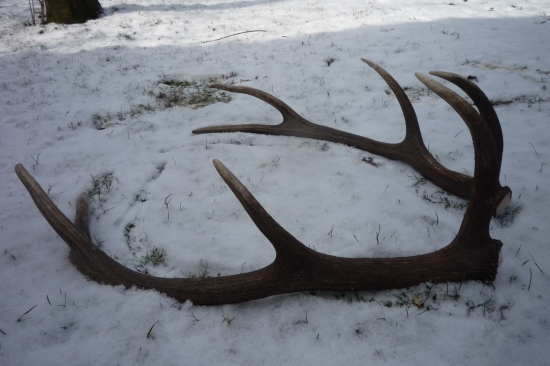 Prvy 15 a druhy 16 marca 2013