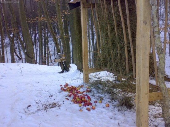 aj tento rok si zvyknú