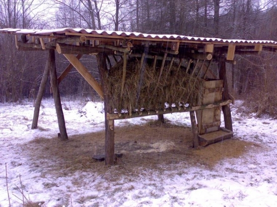 zhruba po 2 týždňoch