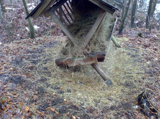 vyzará to tak, že im chutilo
