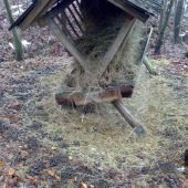 vyzará to tak, že im chutilo