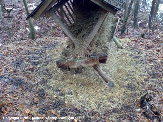 vyzará to tak, že im chutilo