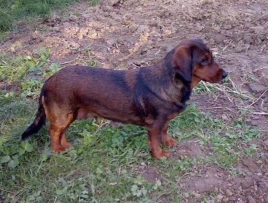 už sa teší na spoločné