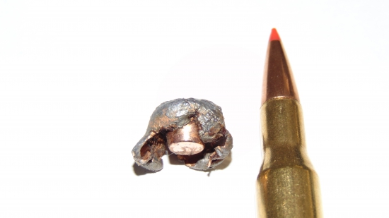 270 Win Hornady Interbond 8,4g