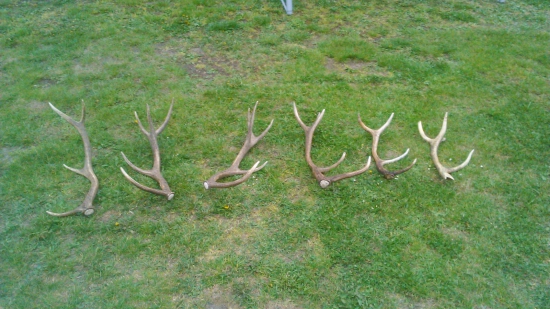 Túto sezónu nájdené