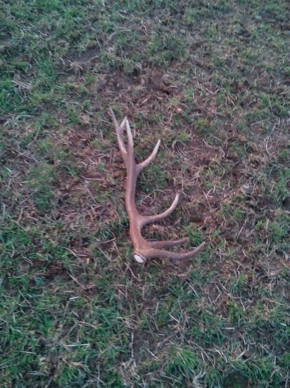 A ďalšíiiiiii....:)