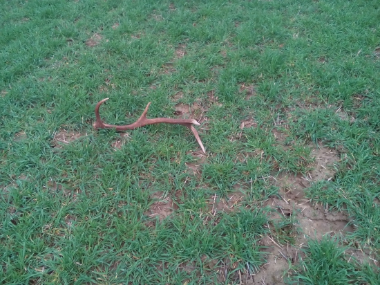 dalšiiii mladík ... 6/2016