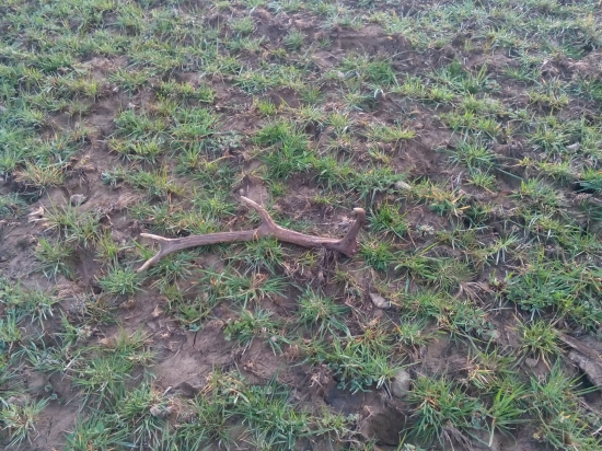 8/2016 a zaroven para k 7/2016