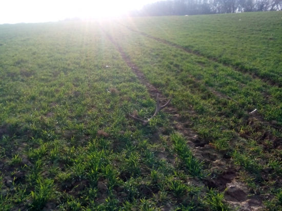 konečne sa zadarilo