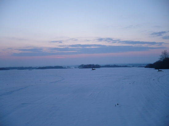 skokanky :D