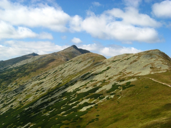 CESTA NA DUMBIER
