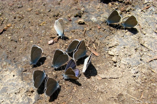 Tak si dajme do cucjaka.
