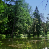 Pohodička