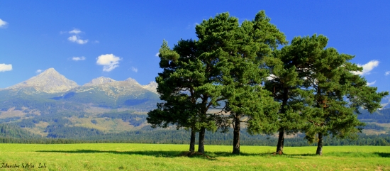 V.Tatry