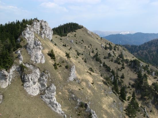 Ostrá