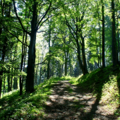 Cestou na Martinské hole.