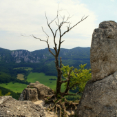 Súľovské skaly 2