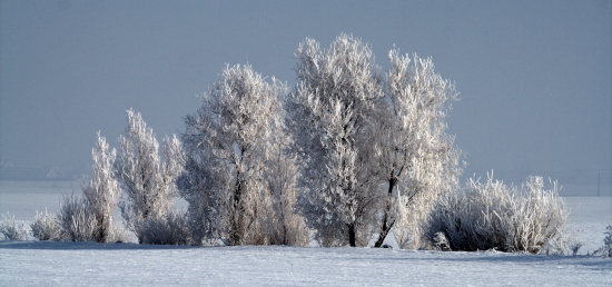 Zima na Medkáči(Jahodnícke háje)