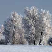 Zima na Medkáči(Jahodnícke háje)