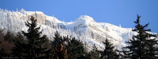 Tlstá