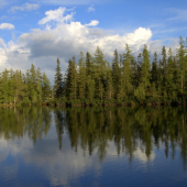 Pri Štrbskom plese.