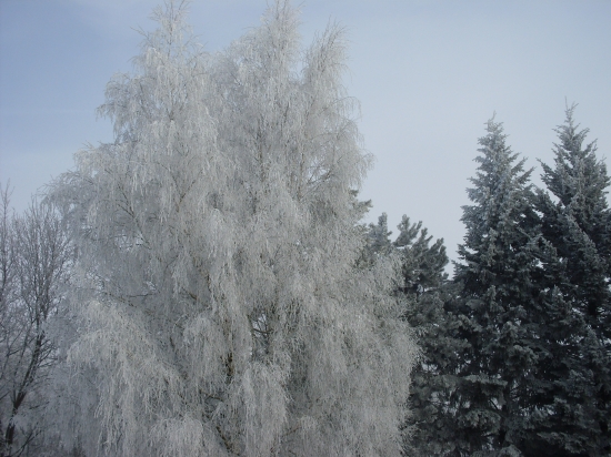 Návšteva Deduška Mrázika...