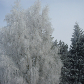 Návšteva Deduška Mrázika...