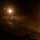 Nočný výhľad z okna.. :)