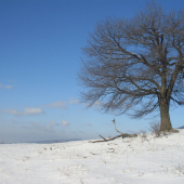 Sám vojak v poli...
