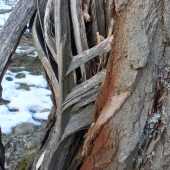 Pripomína mi to..taký menší rebrík :)